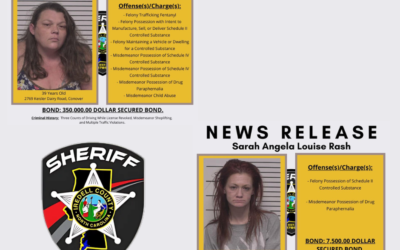 Deputies Respond to Suspected Drug Activity