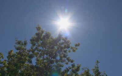 Sunny Skies and Mild Temperatures Expected This Week