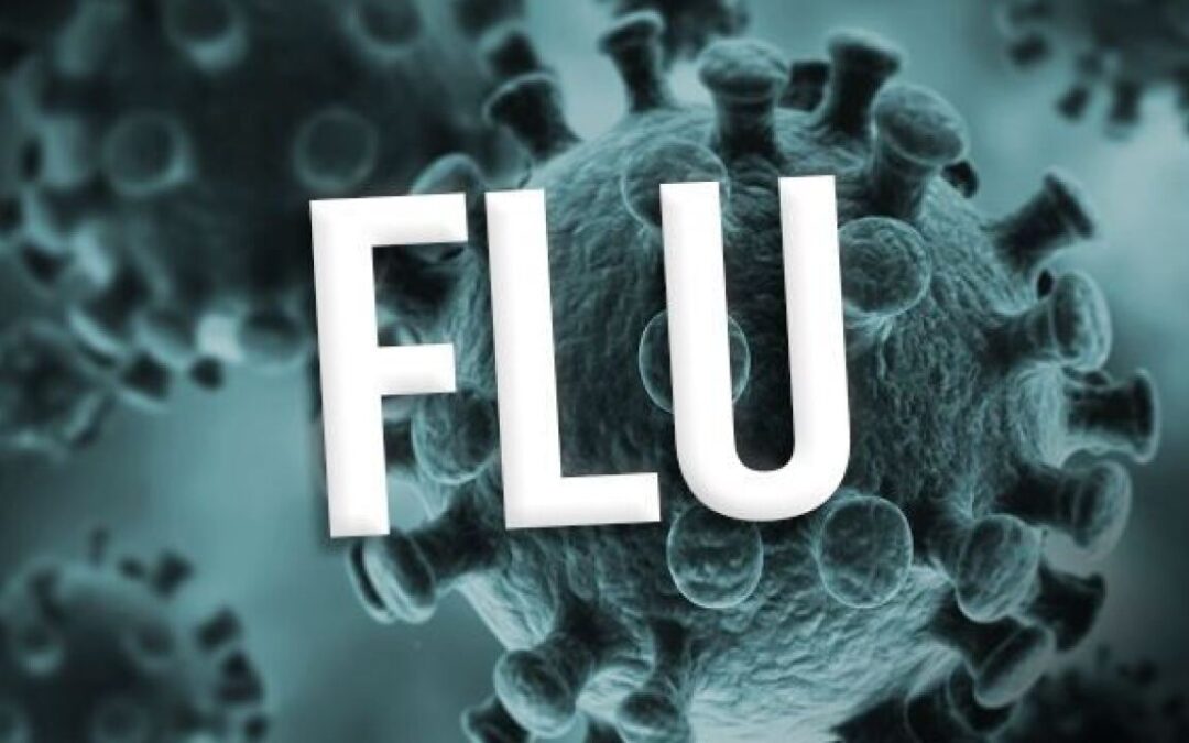 2 Children die from Flu in North Carolina