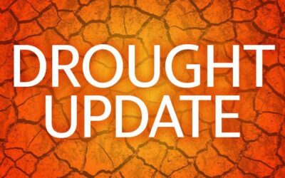 Drought Watch Issued for Catawba-Wateree River Basin