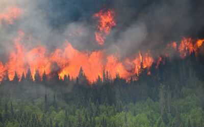 Wildfires Continue To Burn In Western NC