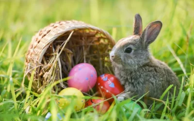 Warm, Sunny Weather Expected for Easter Weekend in Iredell County