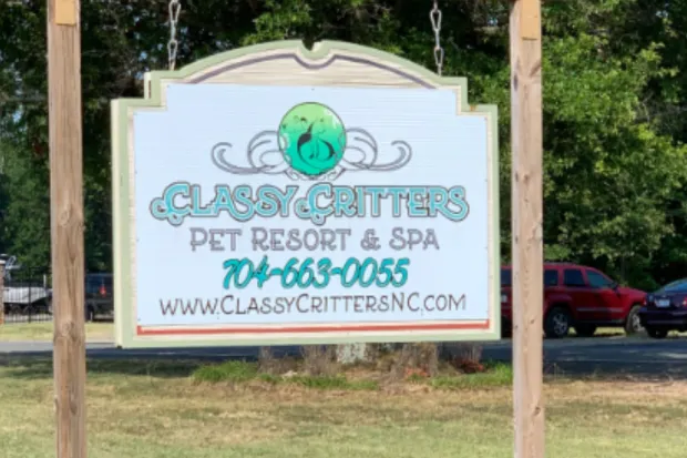 Issues Continue for Classy Critters in Mooresville