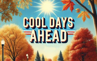 Local Weather Forecast