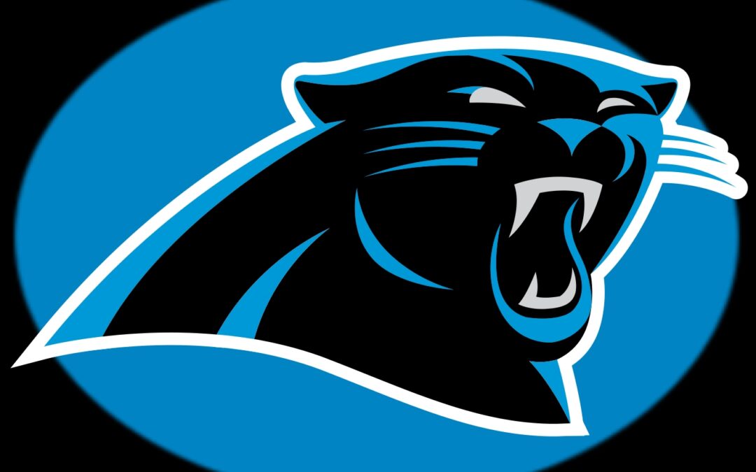 Carolina Panthers Preseason Raises Concerns Ahead of Regular Season