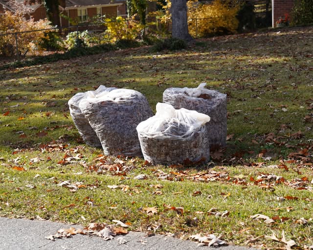 Free Leaf Bags Available for Statesville Residents This Fall